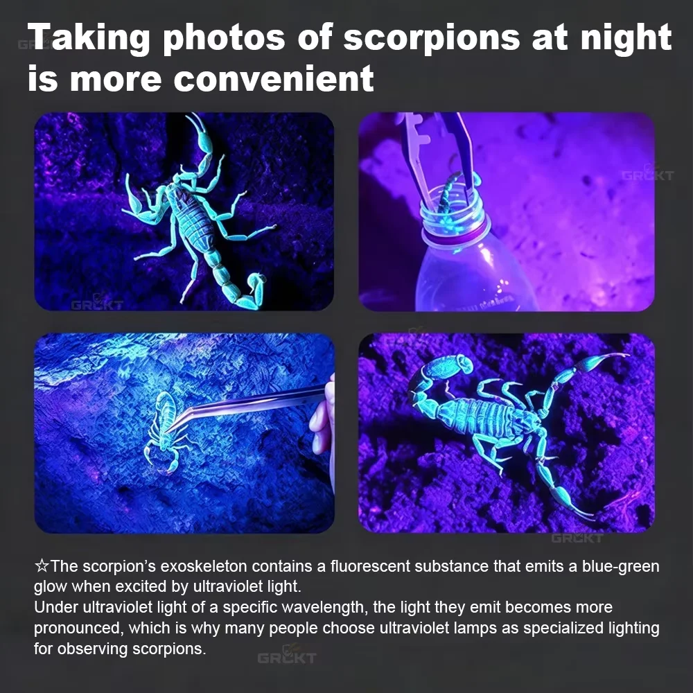 30W 365nm UV Headlamp Scorpion - Outdoor Lighting Black 评论和价格