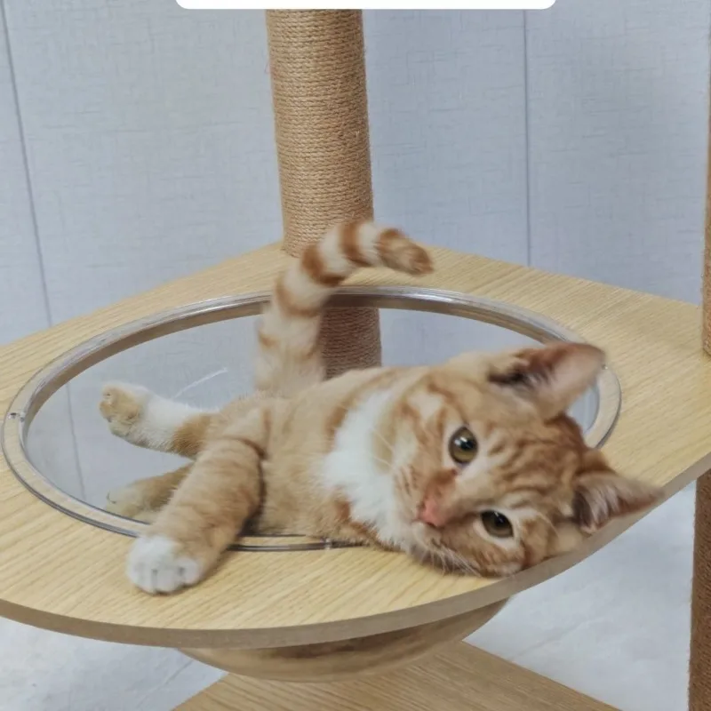 acrylic-dome-cat-bubble-2pcs-12-space-transparent-capsule-cover-clear-plastic-dome-bed-replacement-for-cat-tree-window-perch