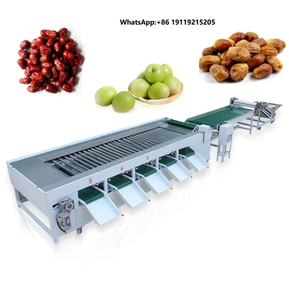 Automatic Vegetable Weight Classifier Fruit Sorting Grader Machine  Fruit Sorting Machine mango Potato Sorter Machine