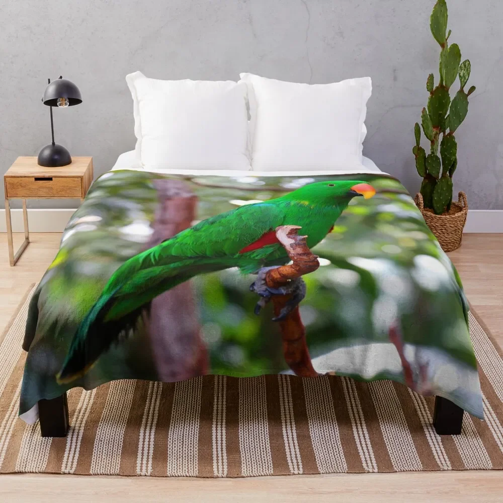 

Stunning Eclectus Parrot on Branch Throw Blanket Elegant Warm Throw Blanket for Hotel Home
