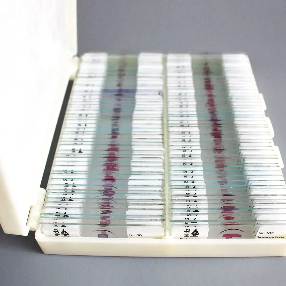 100PCS Medical Study Prepared Paraffin Section Hematoxylin-Eosin HE Staining Histological Slice Microscope Slides Microscopio