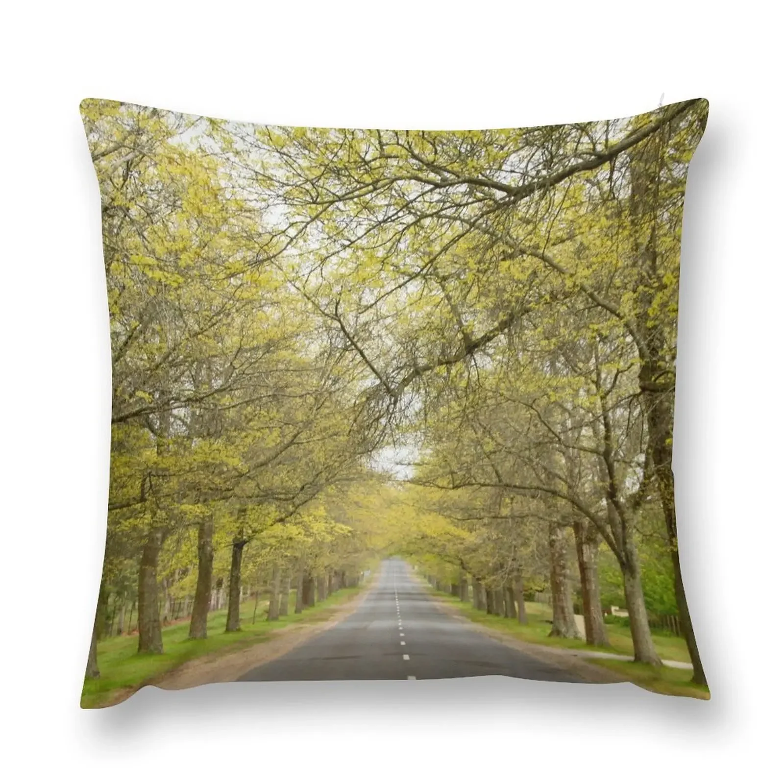 Spring on Honour Ave Throw Pillow Pillowcases Bed Cushions Sofa Covers Throw Pillow Covers pillow