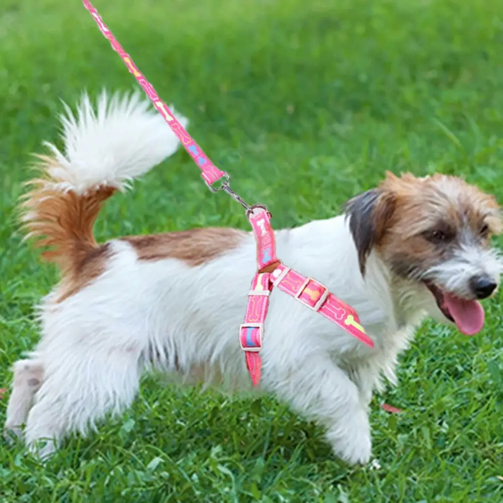 قابل للتعديل الملونة العظام الكلب تسخير سترة المضادة للانفصال مقاومة للاهتراء طوق الحيوانات الأليفة تسخير المقود مع حبل البوليستر