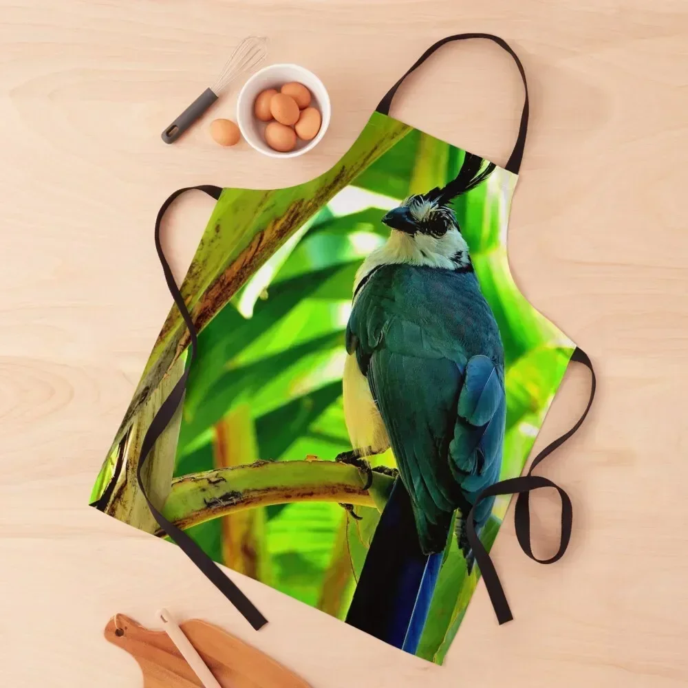 

Nicaragua - Bird of the Ilsa from Ometepe Apron christmas 2025 Trim Cloth professional hairdressing professional kitchen Apron