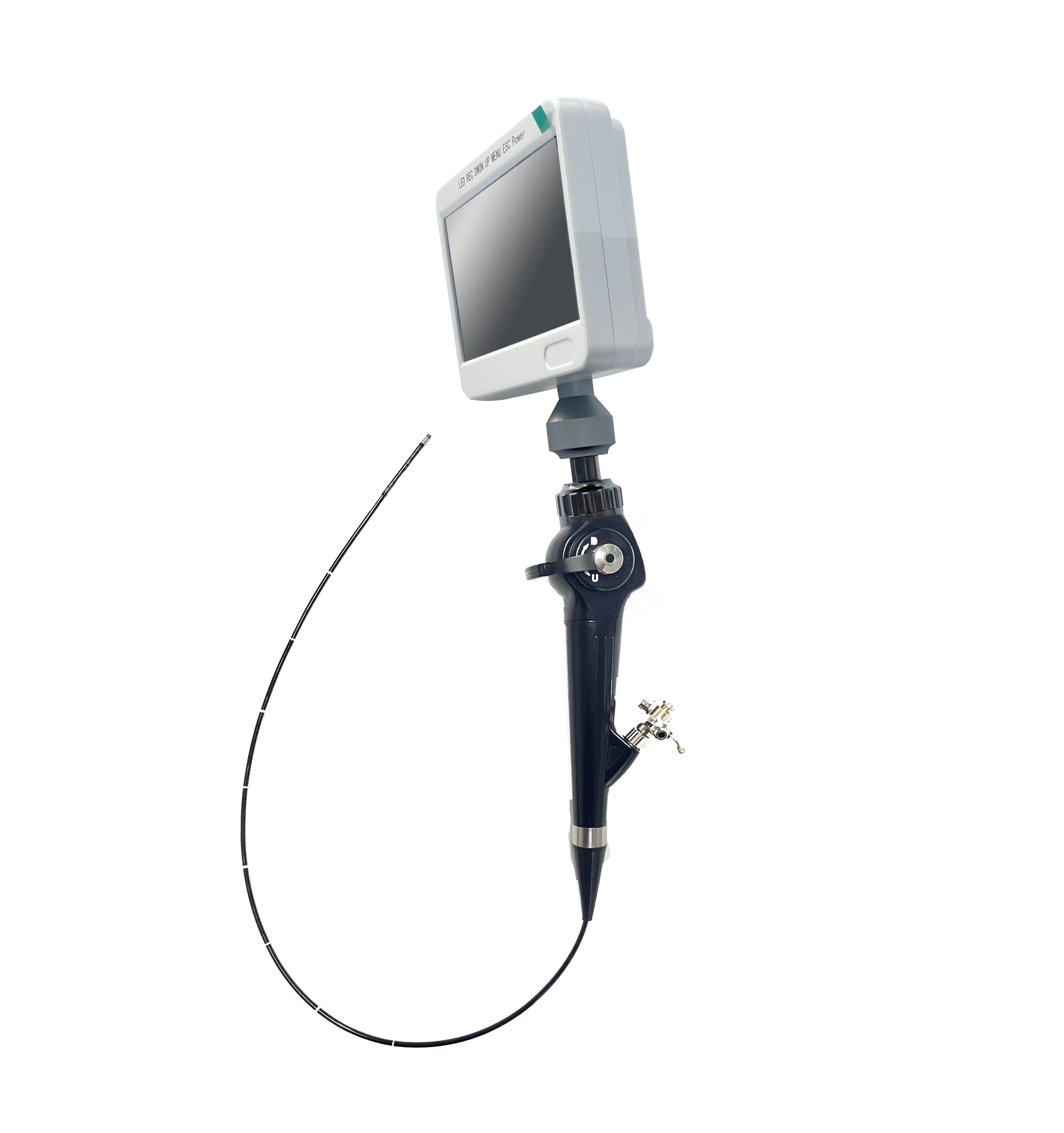 Portable Endoscope Flexible ELETRONIC CHOLEDOCHOSCOPES ENT endoscoope With 5 inch screen