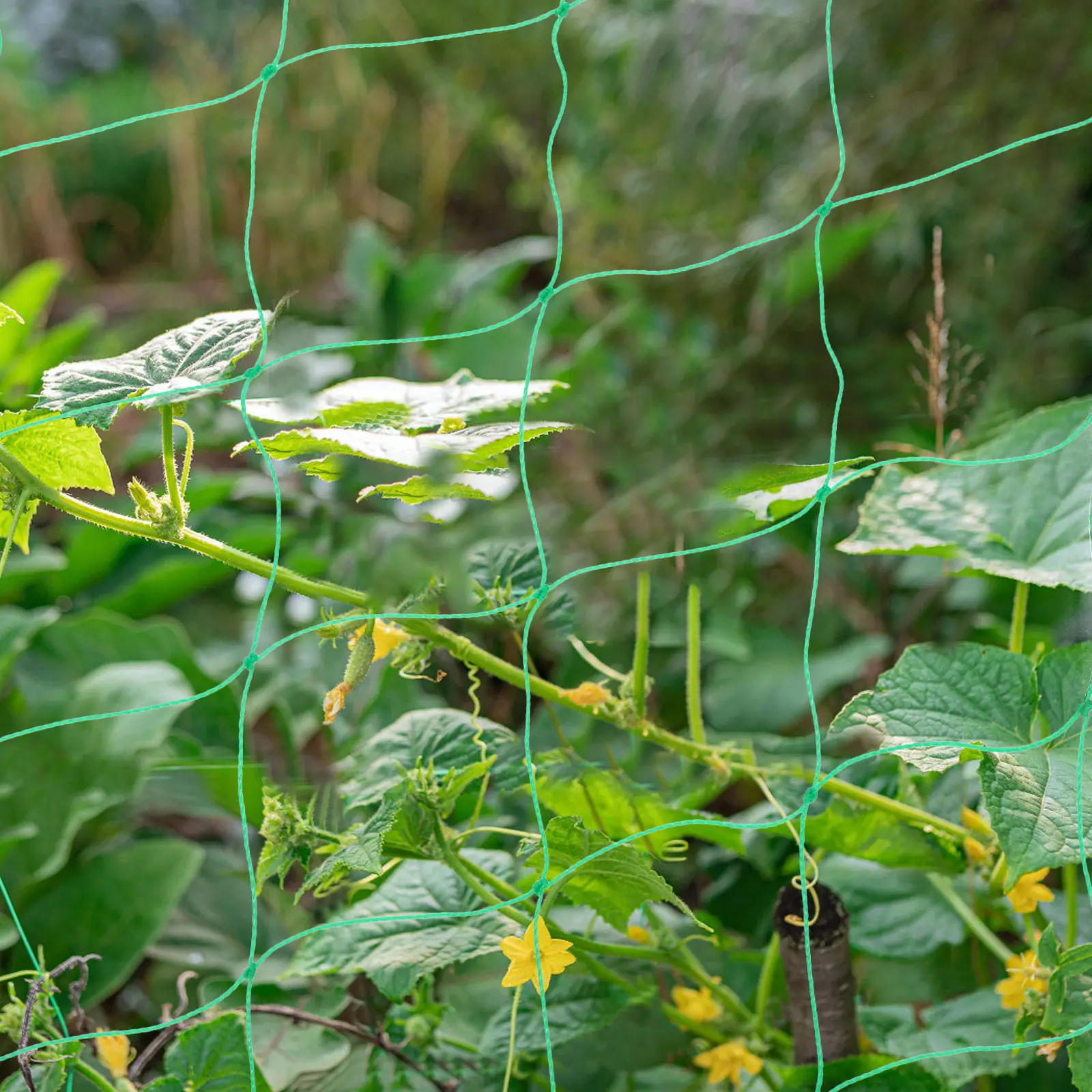 Garden Trellis Netting for Climbing Plants Heavy Duty Vine Vegetable Bean Cucumber Support Outdoor Reusable