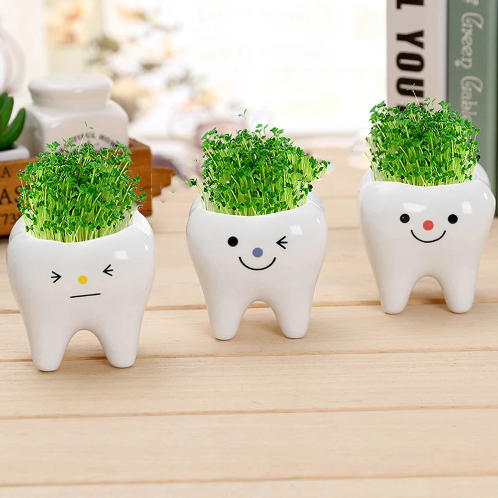 Cute Tooth Flowerpots Ceramic Garden Pots Planters Succulent Cactus Vases Decor Home Garden Decorative Tabletop Plant Pot