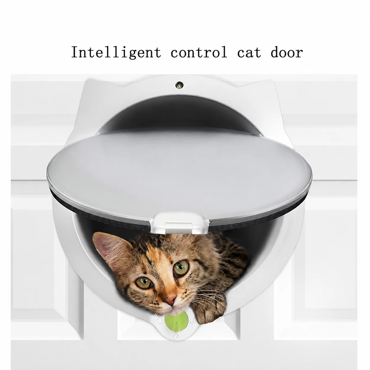 4-Way Lockable Cat Door Plastic Pet Flap for Cats and Small Dogs Indoor Outdoor Entry Exit Control White Black 20cm Opening Gate
