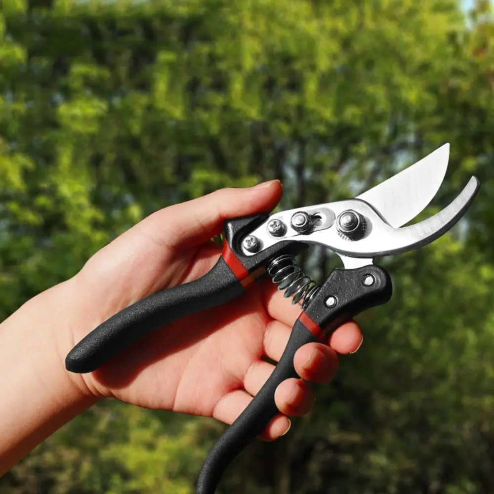 

Branch Shears Branch Pruner Horticulture Pruner Garden Shears Gardening Scissor Garden Pruning Shears Agriculture Scissor