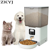 6L Transparent Cat Feeder Tuya WiFi APP Pet Feeder Automatic Dog Food Dispenser Cat And Dog Timing Record Smart Feeder