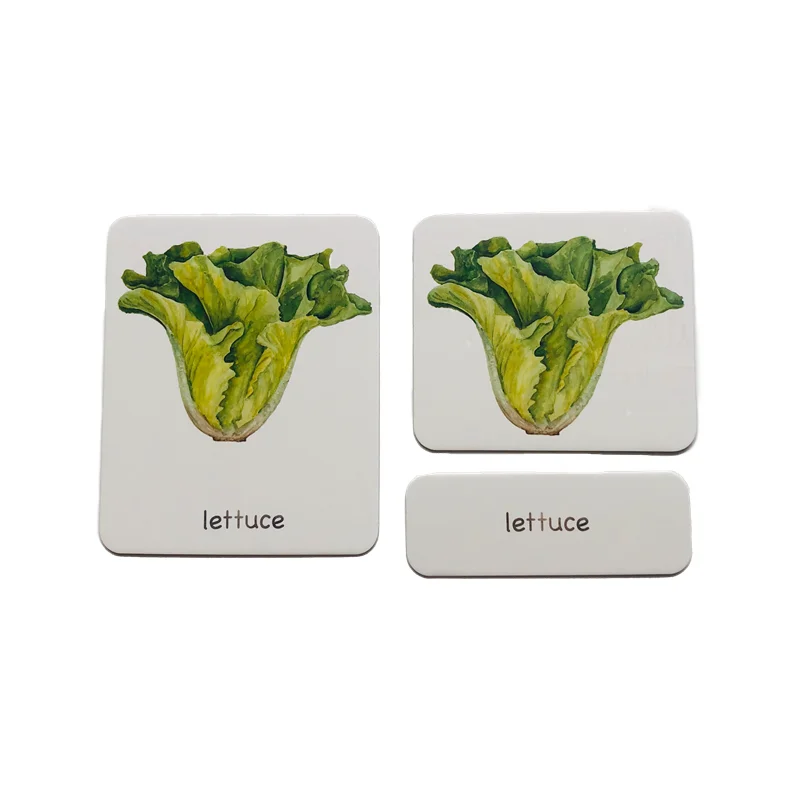 Montessori Language Materials Vegetable Learning Resources Control/ Picture/ Label Cards Early Childhood Education Game for Kids