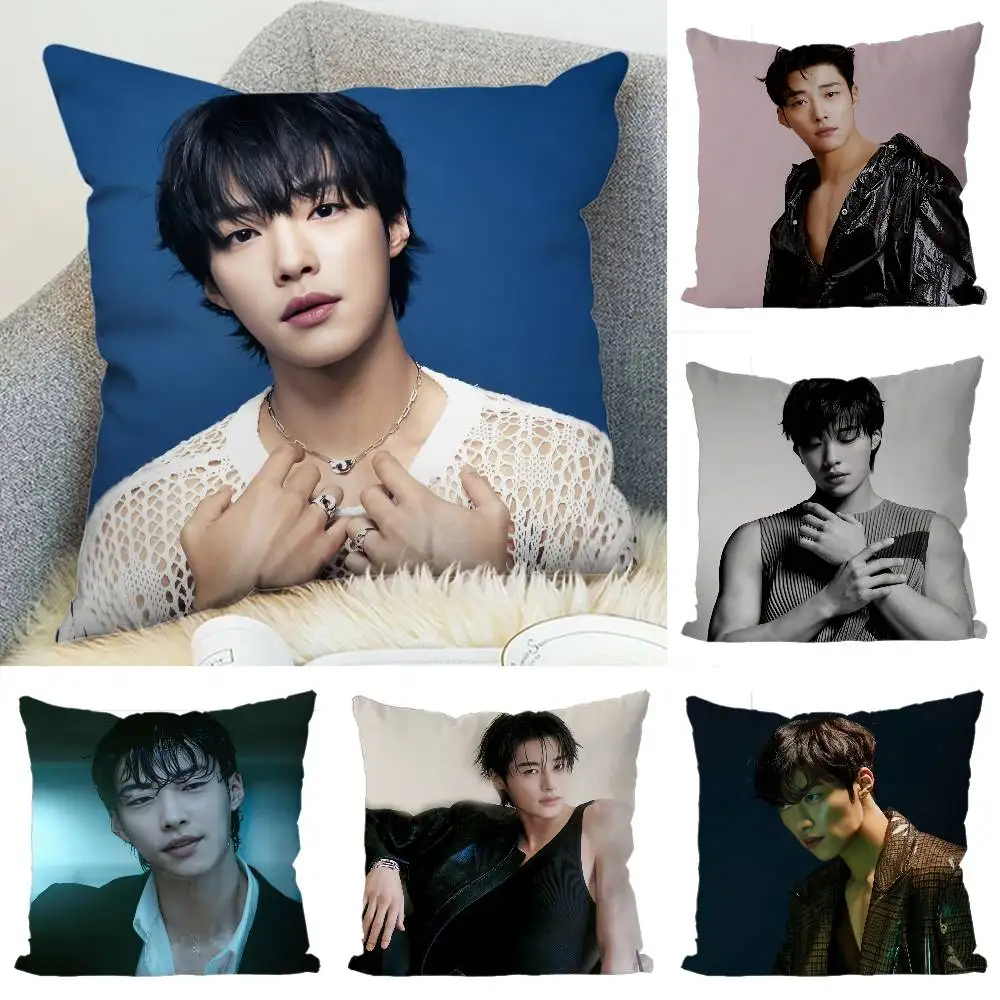 

Woo Do Hwan Pillow Case Luxury Double-sided For Car Pillows 45x45 Cushions Cover Home And Decoration Sofa Pillowcase 50x50