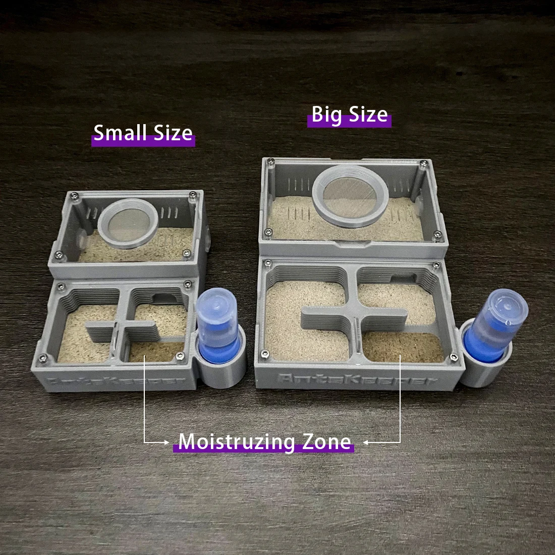 【Ants Keeper】Original Design Farms with Dry-wet Separation Four Rooms AntHill House Nest with Hard Sand for Biginner Ants Colony