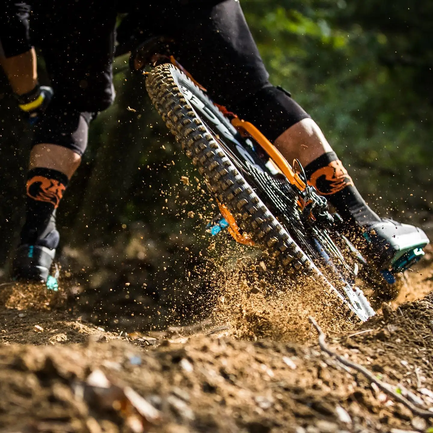 إطار ماكسيس D للدراجات الجبلية ذو جزيئات كبيرة للمنحدرات الجافة، طبقة غير مفرغة 3CG مضادة للانزلاق، إطار خارجي قابل للطي بو...