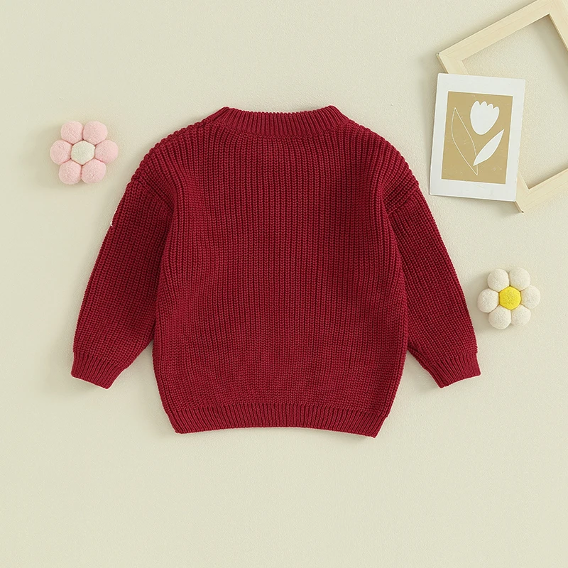 Toddler Baby Girl Boy Knit Sweater Cute Flower Embroidery Crewneck Pullover Long Sleeve Knit Infant Sweaters