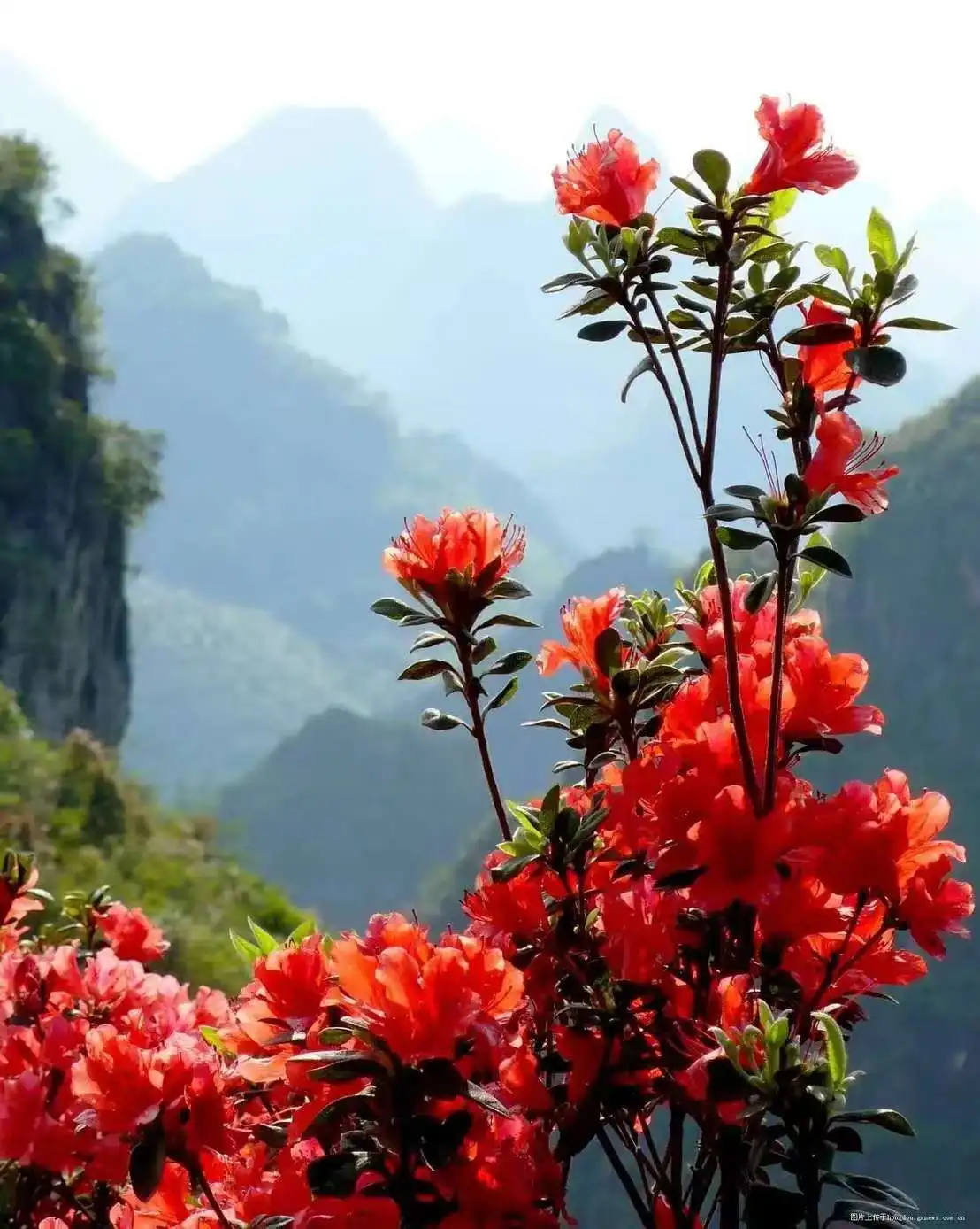 

Myoslim PRO Body Sculpting Machine 6500W Hiemt Lose Weight EMS Body Slim Muscle Stimulation Professional EMS Machine