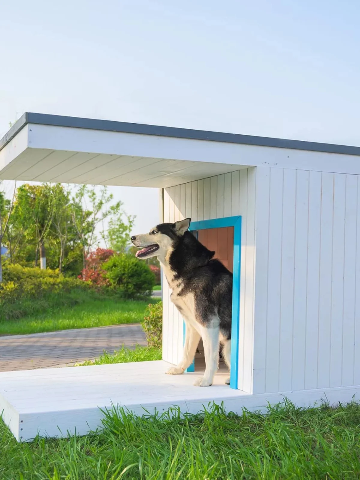 Outdoor doghouse solid wood preservative wood courtyard pet kennel doghouse wood