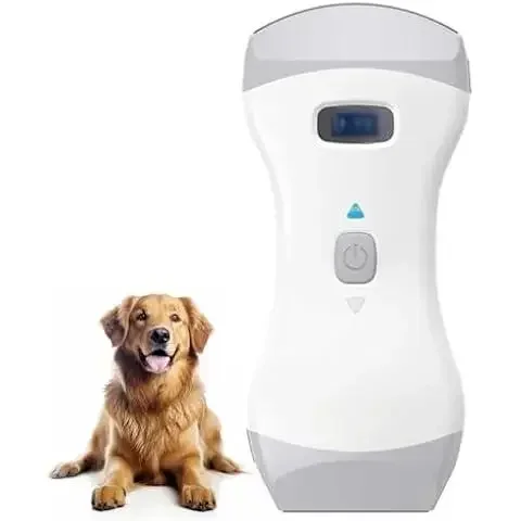 

Cardiac Ultrasound Machines for Pet Supply Store Ultrasonic Equipment