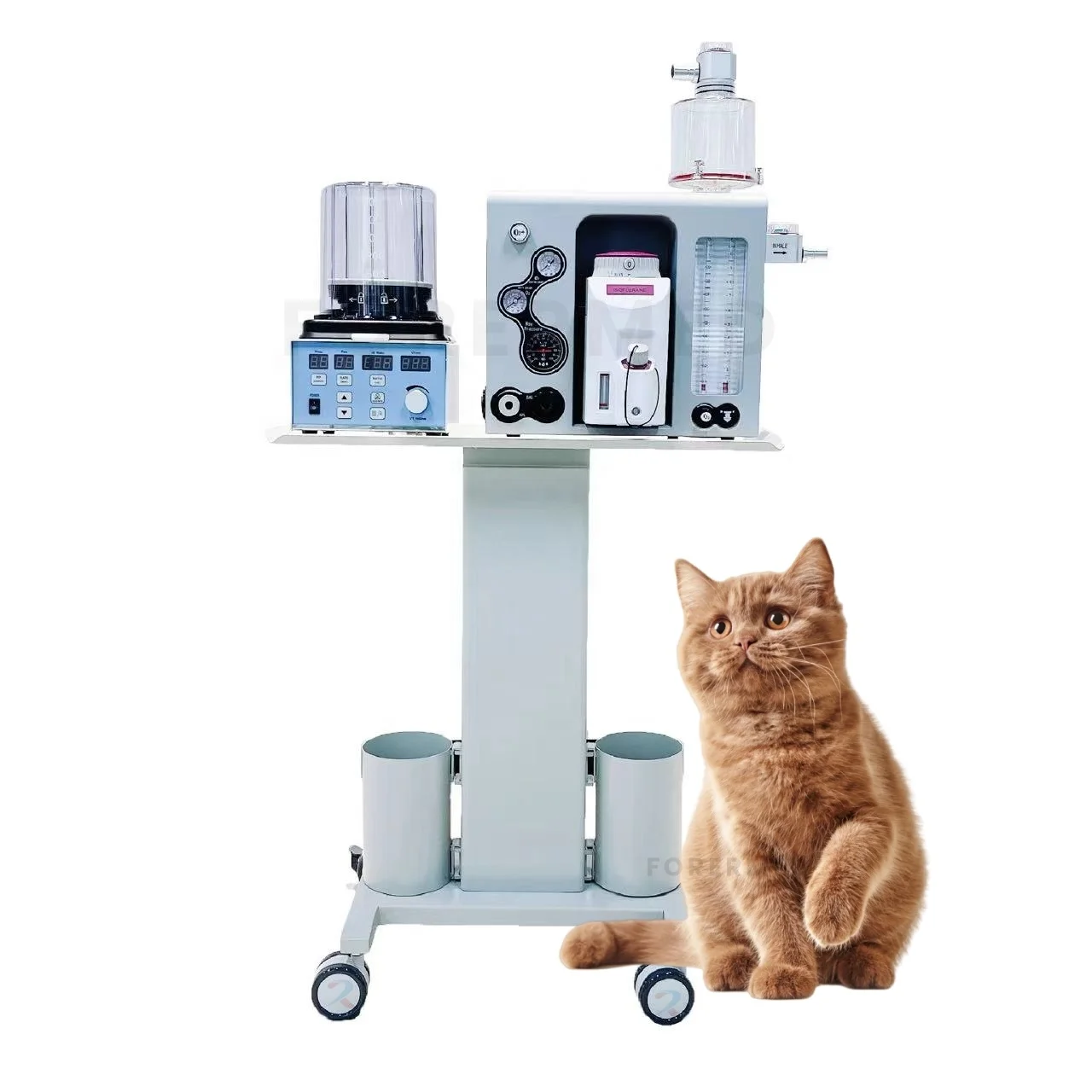 

Veterinary Anesthesia Machine Portable Two-Gas Anesthesia Ventilator Trolley Optional Vet Anaesthesia Equipment
