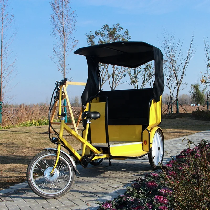 

Electric Rickshaw Scenic Taxi