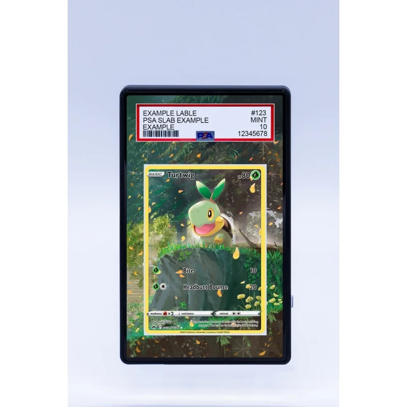 Altaria Arcanine Accelgor TCG Graded Card Slab Acrylic Card Brick Display Stand Gift For Anime Collectors Card Not Included - view 5