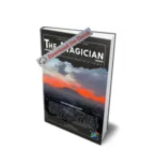 

Электронная книга The Magician by Wolfgang Riebe — фокусы (мгновенная загрузка)