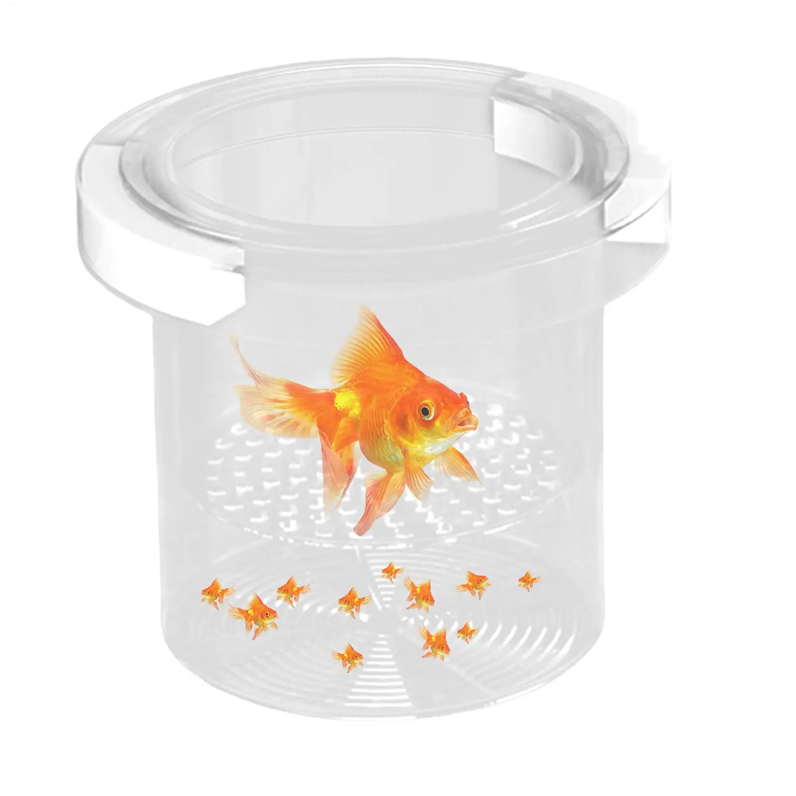 Acrylic Aquarium Isolation Box Transparent Shrimp Guppy Floating Hatching Box Detachable Floating Fish Breeding Isolation Box