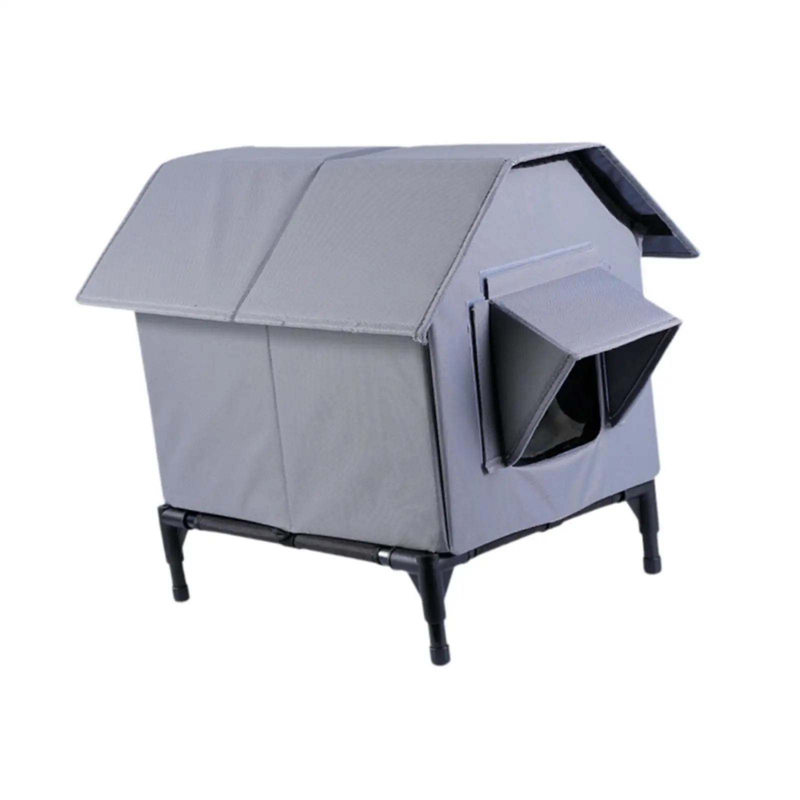 Feral Cat House Cat…