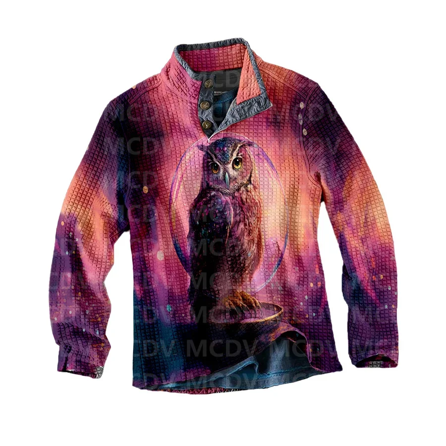 Pullover Polo Pria, atasan kasual lengan panjang motif 3D burung hantu kasual