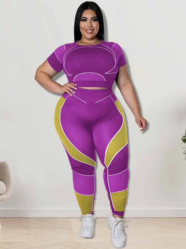 Women Tracksuit 2 Piece Set Plus Size Pants Suit Casual Slimming Leggings Summer Sets Womens Outfits Wholesale Bulk Dropshipping