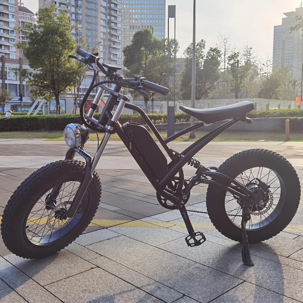WWE Ncyclebike 500w/1000w 48v Electric Bike 26 