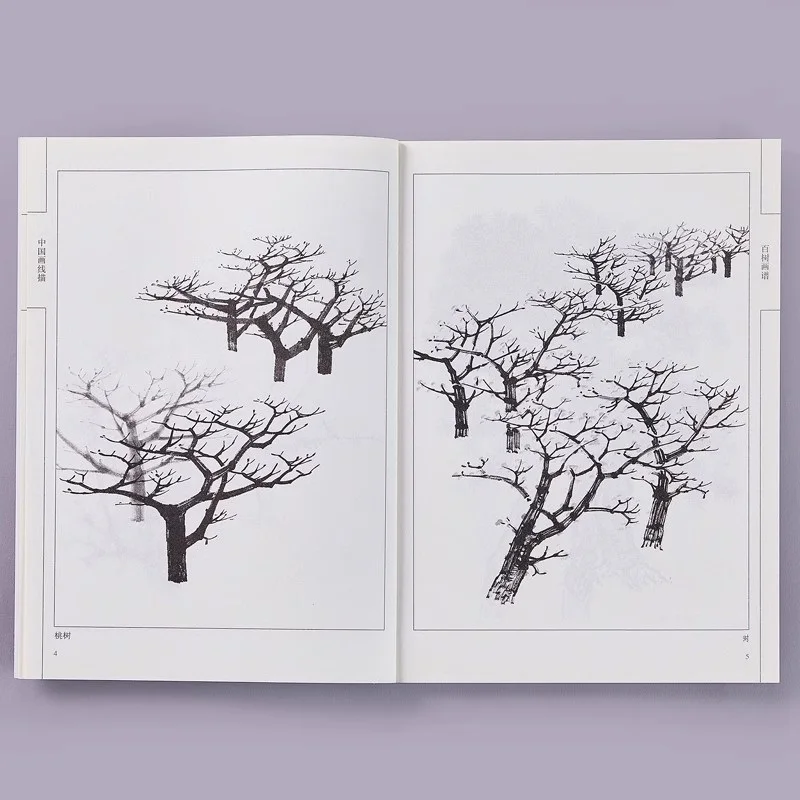 Chinese Drawing Line Drawing Tree Drawing Spectrum Tree Drawing Pencil Line Drawing Atlas Book Gongbi Painting Collection Album