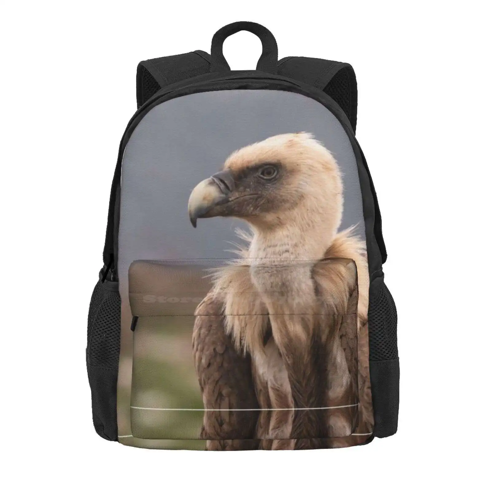 Griffon Vulture Hot Sale Schoolbag Backpack Fashion Bags Griffon Vulture Bird Of Prey Raptor Nature Wildlife