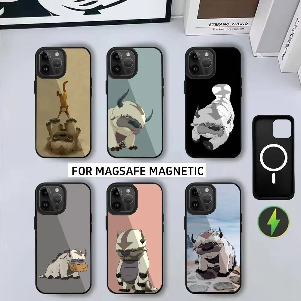 

A-Avatar 12A-Appa Y-Yip Phone Case For iPhone17,16,15,14,13,12,11 Plus,Pro Max Magnetic For Magsafe Wireless Charging