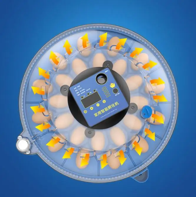 

2026 9/12/16/24/36/48 cps Инкубатор бытовой инкубатор Умный инкубатор для попугаев и птиц с ЖК-дисплеем 12 В/240 В