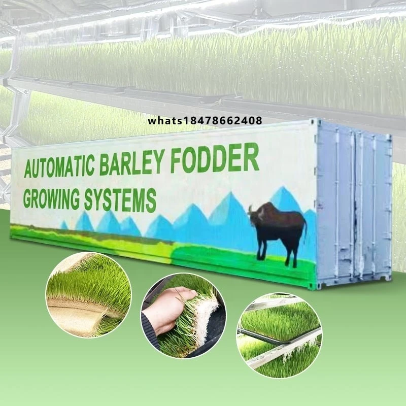Fully Automatic Farm System Hydroponic Forage Mushroom Fodder Growing Grow Container Bean Sprout Farming Machine