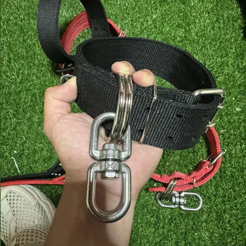 Dog Collar Double Row Thicken Adjustable Durable Bulldog Training Collars Stainless Steel 8-shaped Swivel Ring Sturdy Anti Wrap