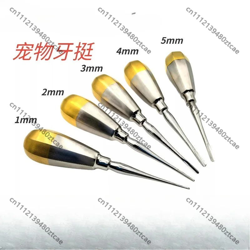 veterinary-stainless-dental-elevator-tooth-extraction-tool-for-dog-cat-small-exotic-pet-oral-surgical-instrument