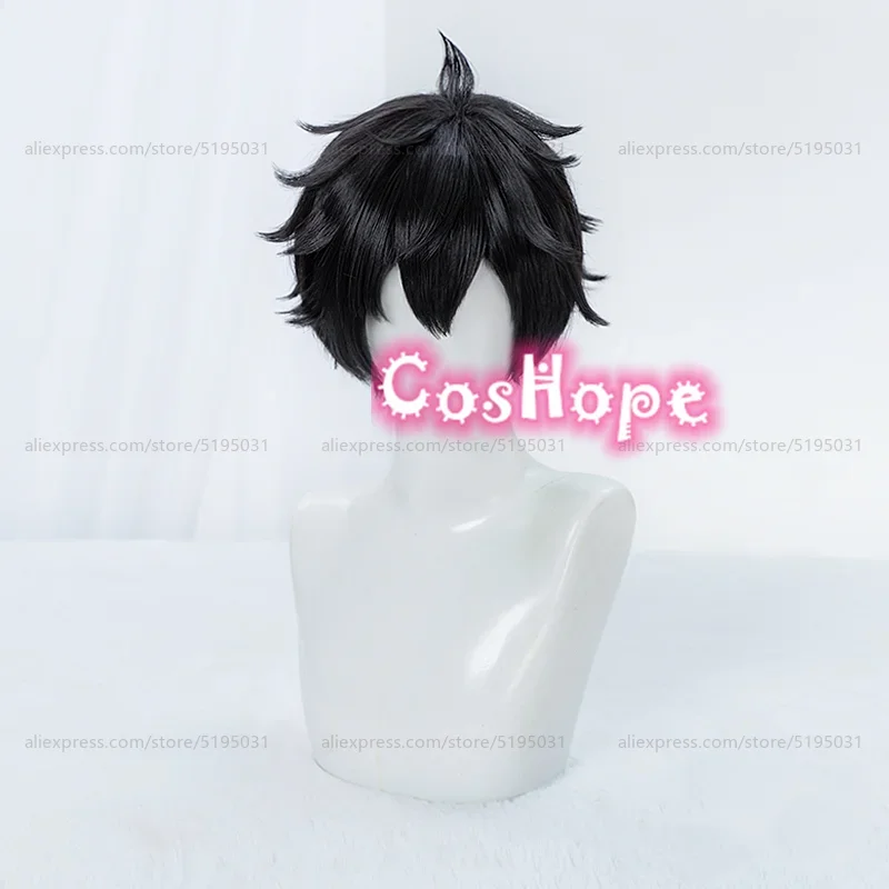 Dan Heng cosplay wig 30cm short wig black wig cosplay anime wigs wigs heat resistant synthetic wigs