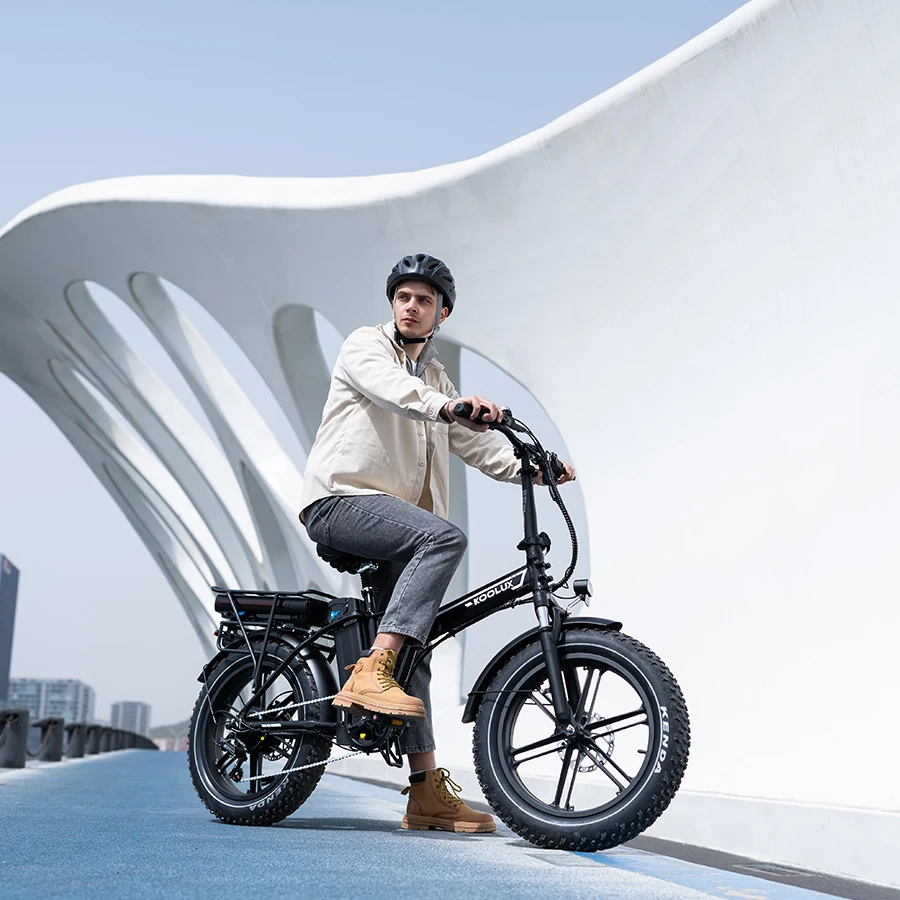 Folding Electric Bicycle Aluminum Alloy Frame Rear Hub 7-Speed Hydraulic Disc Brake Fat Tire Brushless 20-Inch Electric Bike
