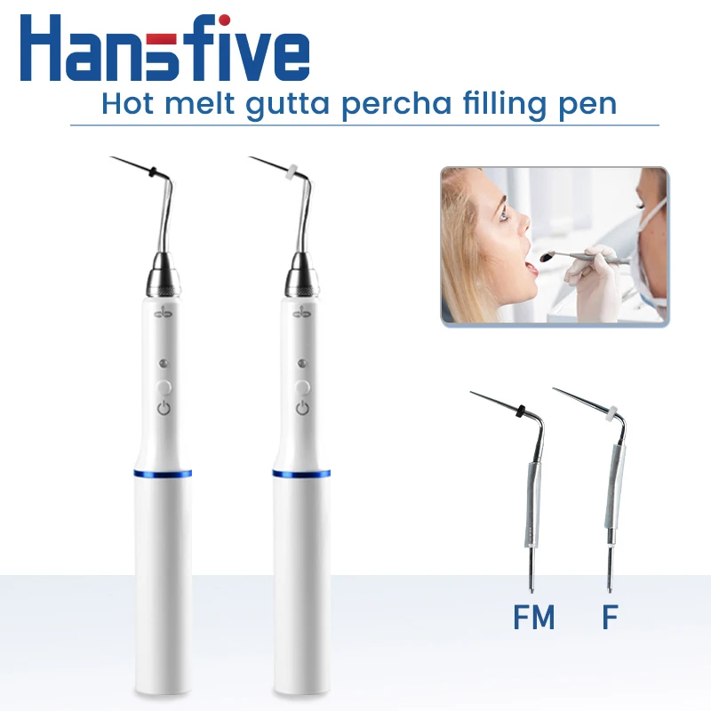 Dental Gutta Percha Obturation Pen Cordless Wireless Endo Heated Pen With 2 Tipsdentistry Dentist Tool Lab Equipments