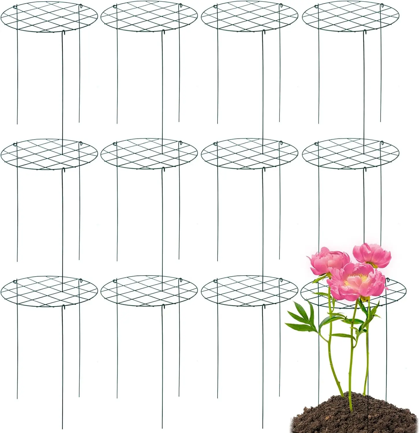 

Набор из 12 опор для пионов 16x24 дюйма, подпорки для растений, позволяющие им вырасти сквозь них, для уличных растений