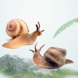 Solid Simulation Snail Model Insect Animal Cute Snail Figurines Miniature Plastic Models Ornament Handicraft Garden Decoration