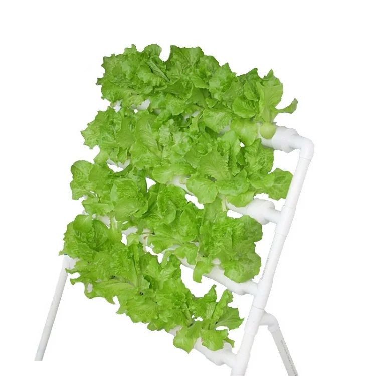 NFT Hydroponic Home Hydroponic PVC Pipe System Hydroponics Grow Kit