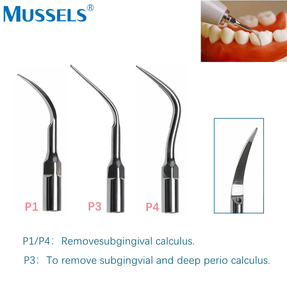 5ชิ้นอุปกรณ์ขูดหินปูนอัลตร้าโซนิคสำหรับทันตกรรมเครื่องมือทันตกรรมรากฟันเหมาะสำหรับ EMS นกหัวขวาน Satelec DTE Scaling handpiece ทันตแพทย์ทันตแพทย์ P3 PD1