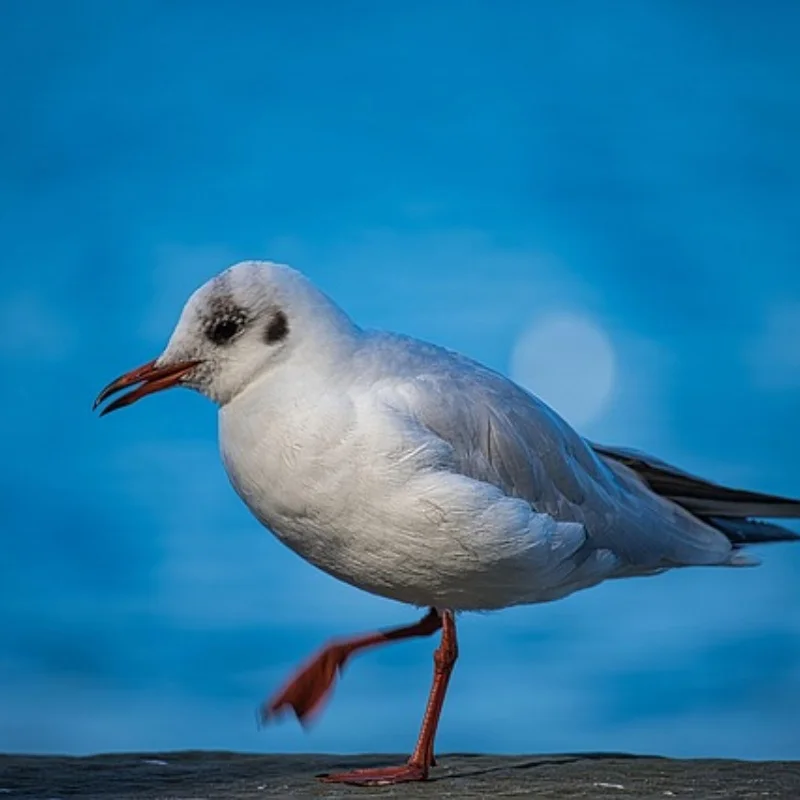

1/12 комплект колесных дисков для радиоуправляемого автомобиля, сборка песчаного пляжа, обновленная шина, шестигранные ступицы, модель для 9116 104009, внедорожных дрифтов