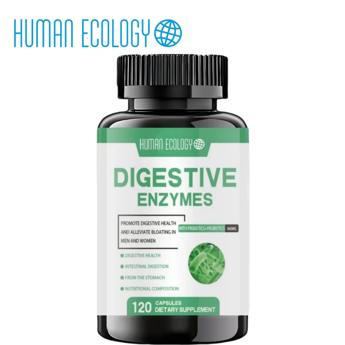 

Digestive Enzyme Capsules Supports Healthy Digestion Pancreatic Enzymes Amylase Lipase Bromelain Lactase Papain Protease