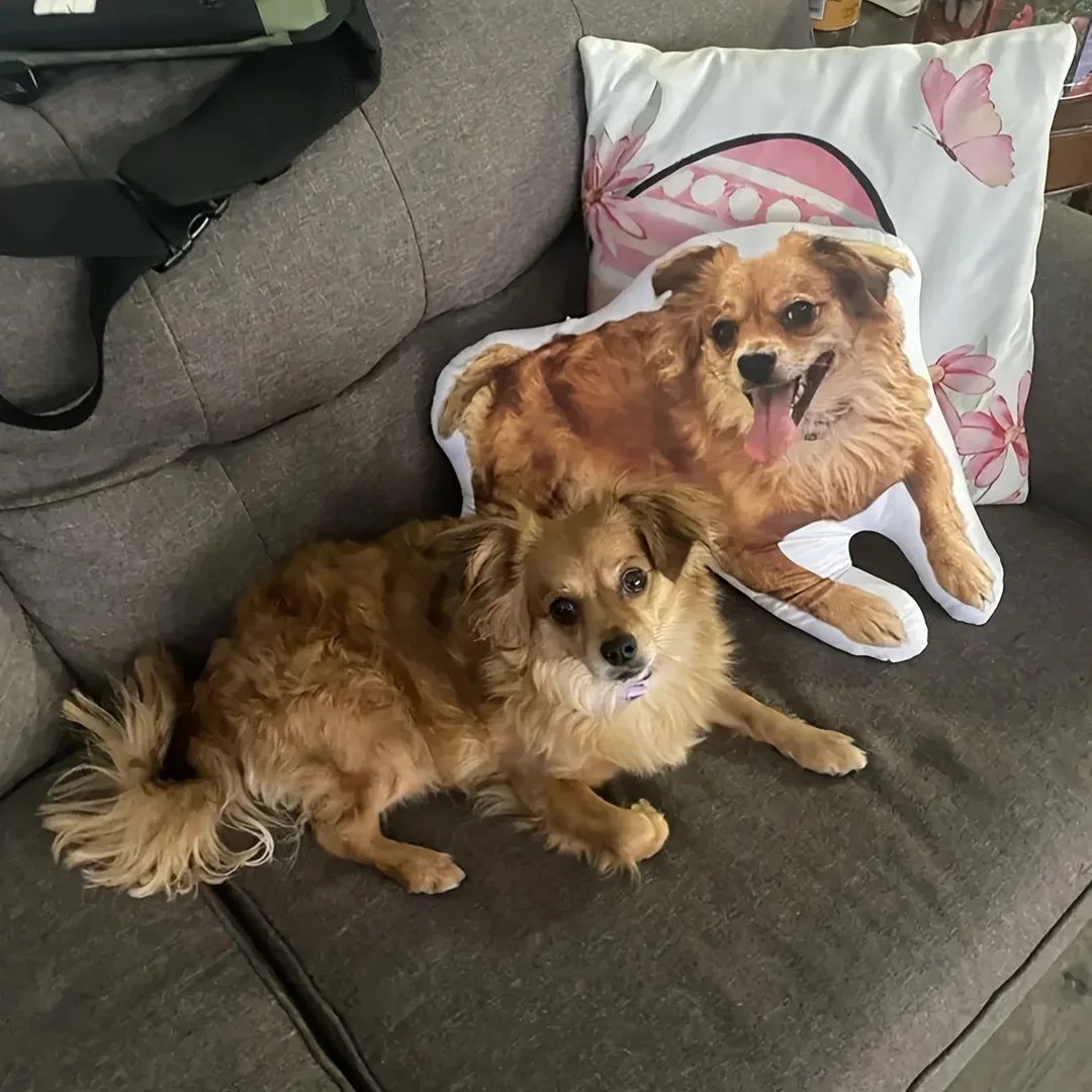 Customize interesting pet shaped pillows with pictures, customize any shape according to your heart, and give commemorative gift