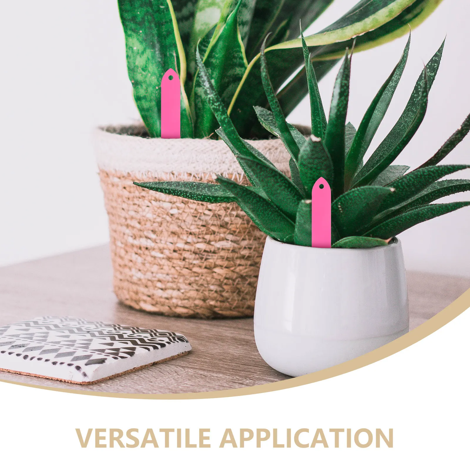 100Pcs Plastic Plant Tags Garden Labels Durable Weather Resistant Plant Markers for Flower Pots Succulents Cactus Identification