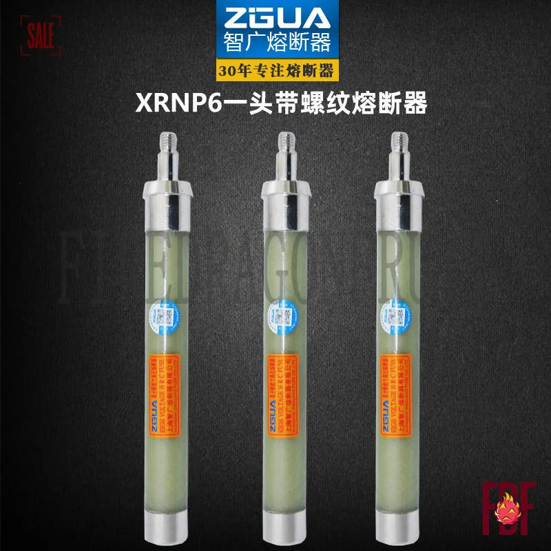 High Voltage Current Limiting Fuse Threaded End 10KV 0.5A-3.15A Zhiguang Mutual Inductor